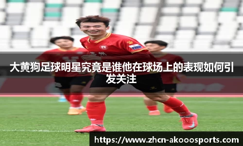 okooo澳客网官网